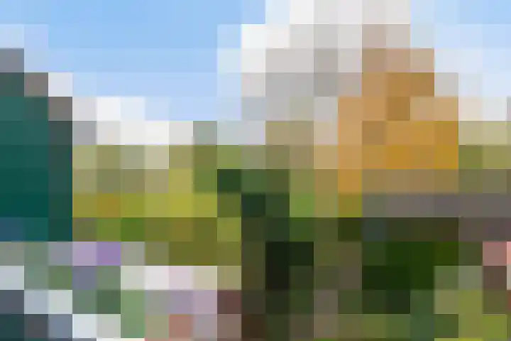 Zegwaartseweg 70 C Zoetermeer thumbnail 47