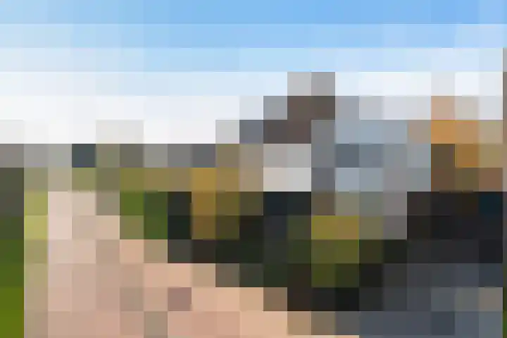 Zegwaartseweg 70 C Zoetermeer thumbnail 5