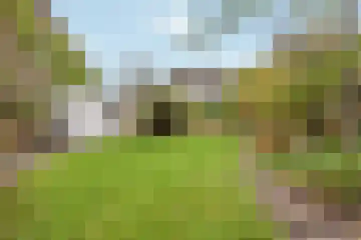 Zegwaartseweg 72 B Zoetermeer thumbnail 32