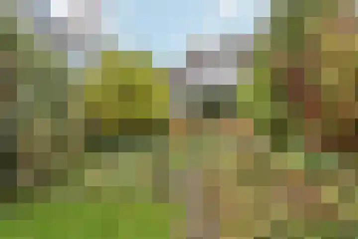 Zegwaartseweg 72 B Zoetermeer thumbnail 33