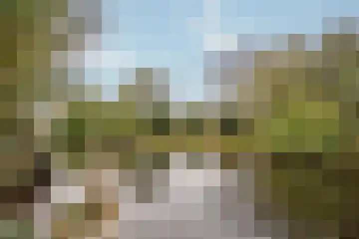 Zegwaartseweg 72 B Zoetermeer thumbnail 37