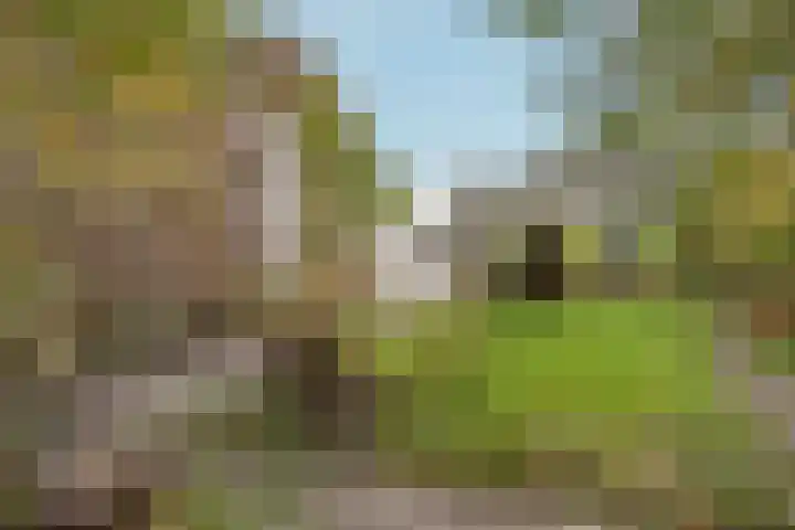 Zegwaartseweg 72 B Zoetermeer thumbnail 38