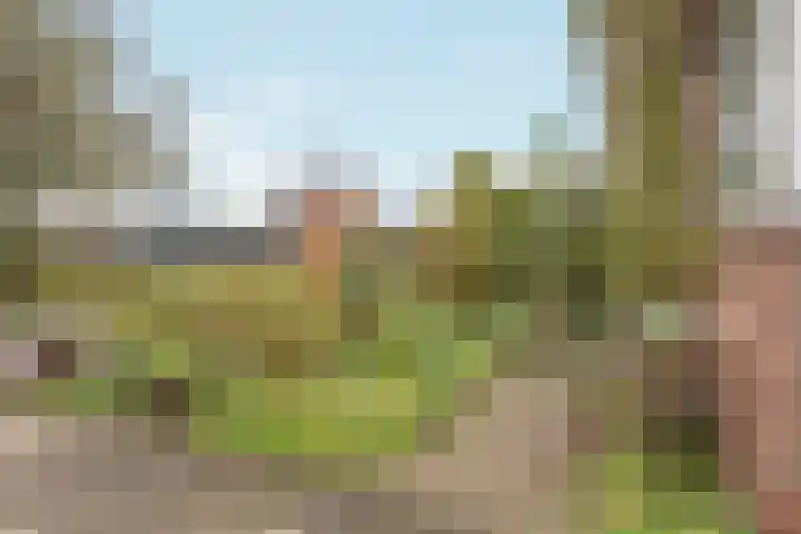 Zegwaartseweg 72 B Zoetermeer thumbnail 39