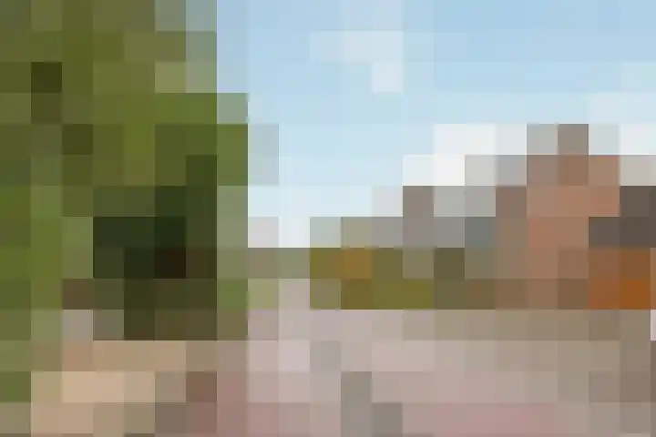 Zegwaartseweg 72 B Zoetermeer thumbnail 42