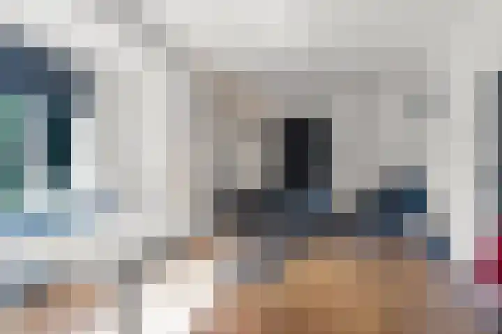 Zegwaartseweg 74 Zoetermeer thumbnail 15