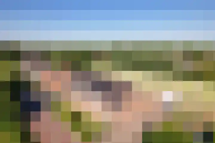Zegwaartseweg 74 Zoetermeer thumbnail 5