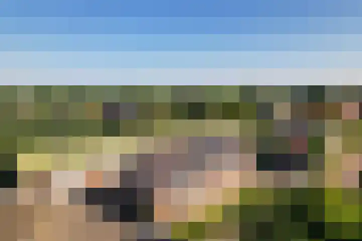 Zegwaartseweg 74 Zoetermeer thumbnail 7