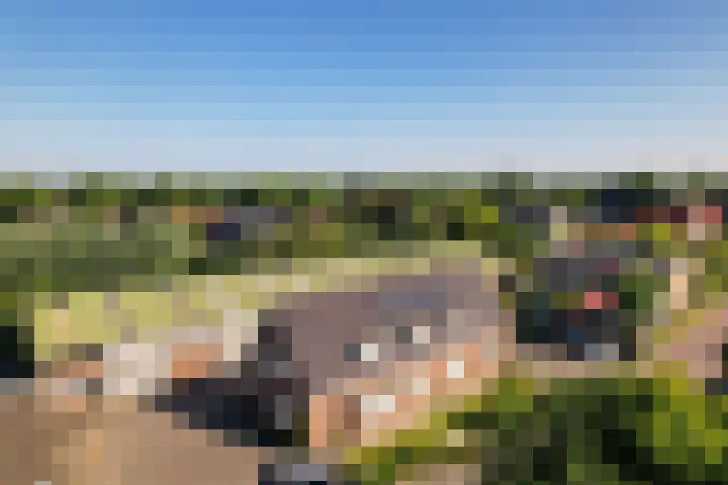 Zegwaartseweg 78 Zoetermeer thumbnail 4