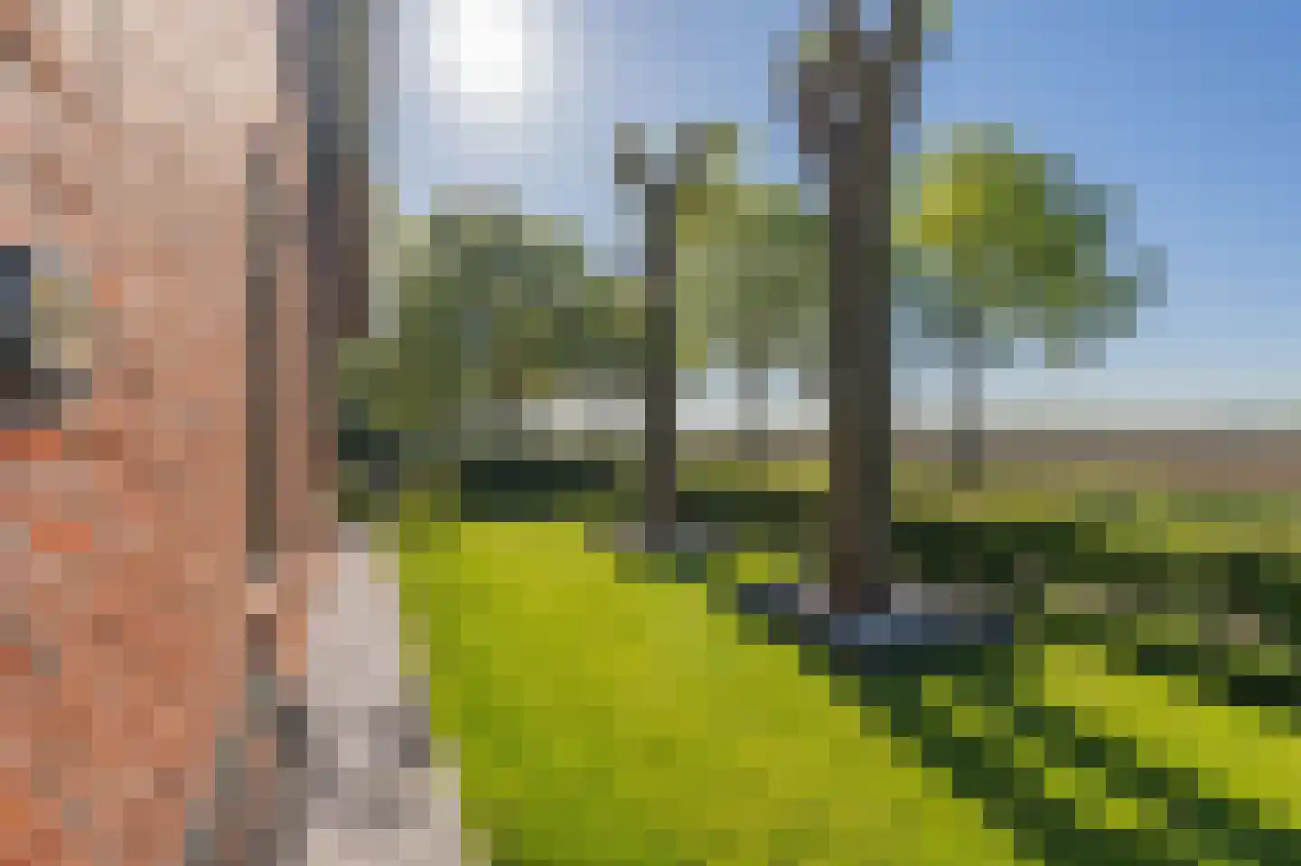 Zeijerstroeten 22 Ubbena thumbnail 12