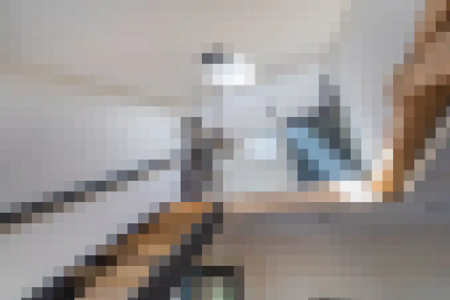 Zeijerstroeten 22 Ubbena thumbnail 16