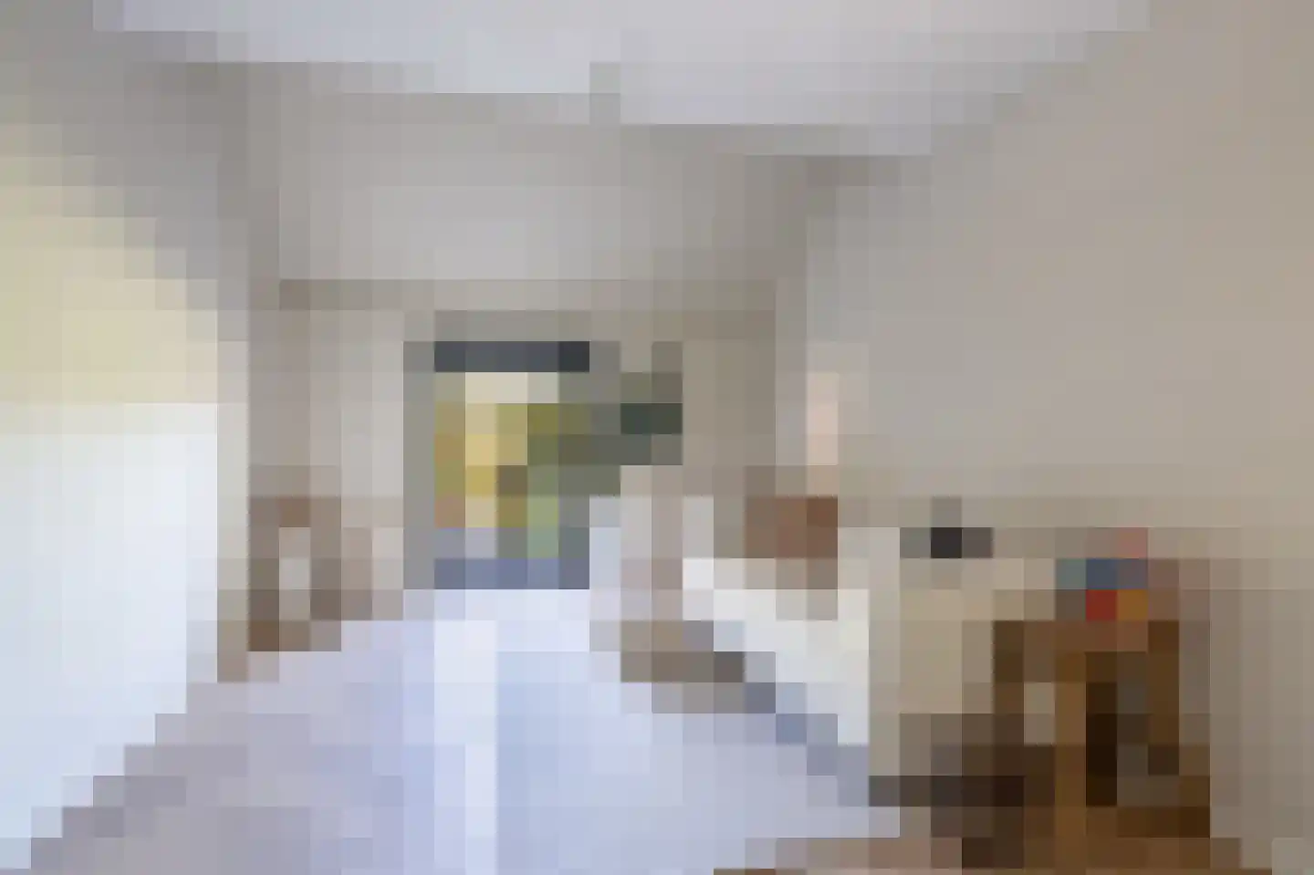Zeijerstroeten 22 Ubbena thumbnail 31