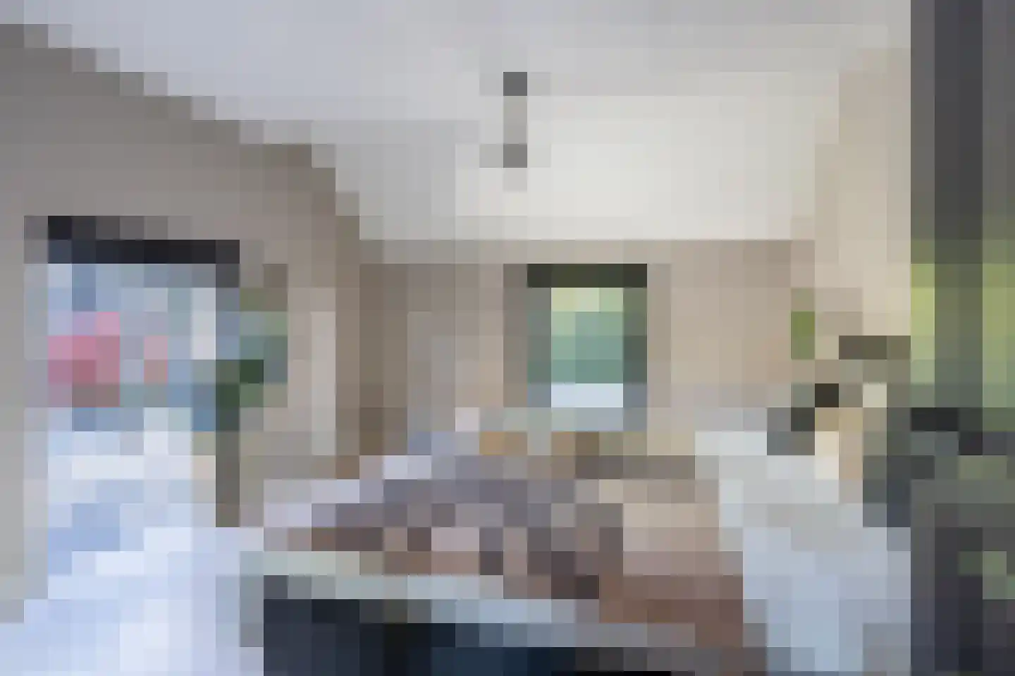 Zeijerstroeten 22 Ubbena thumbnail 33