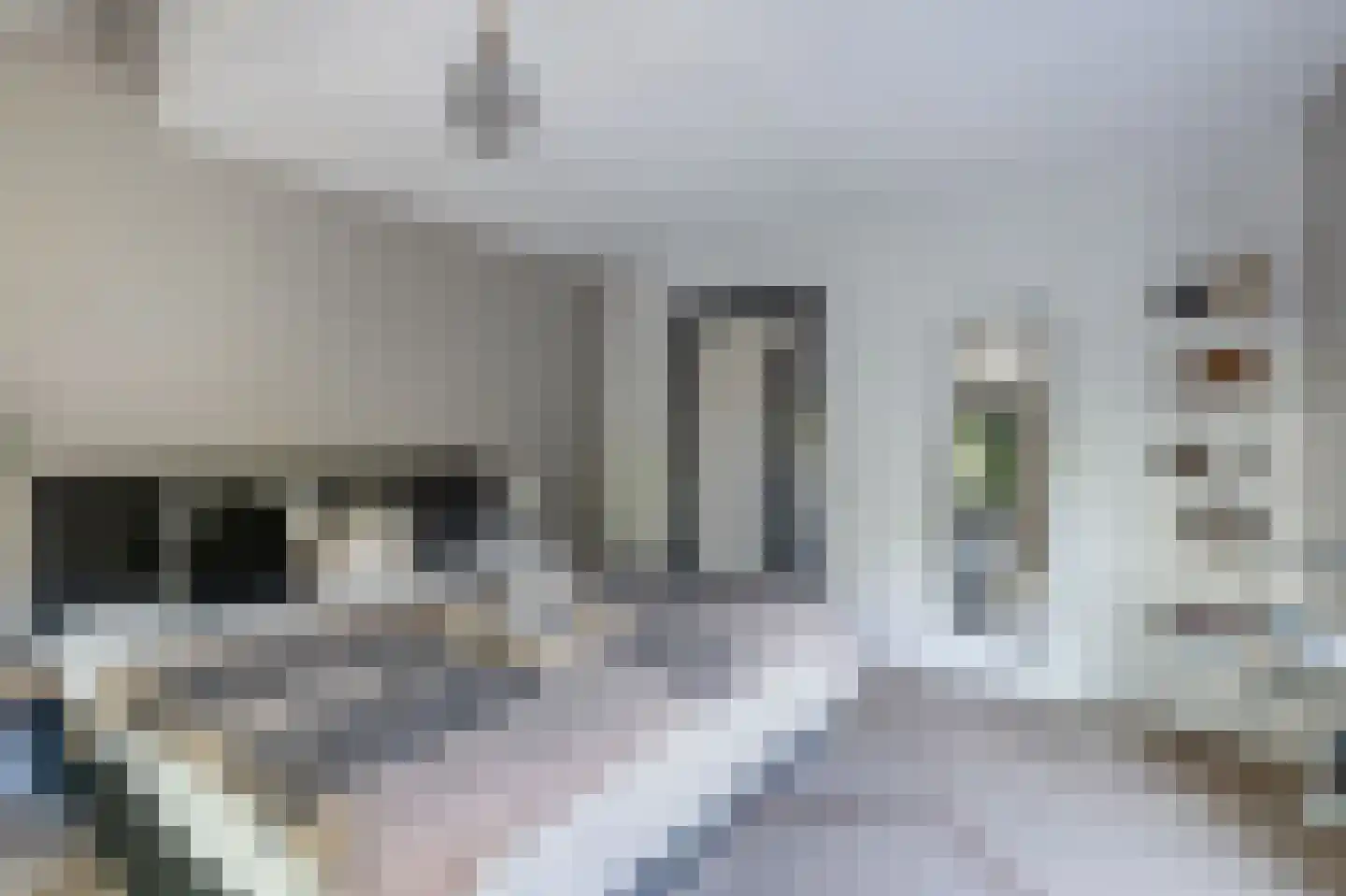Zeijerstroeten 22 Ubbena thumbnail 35
