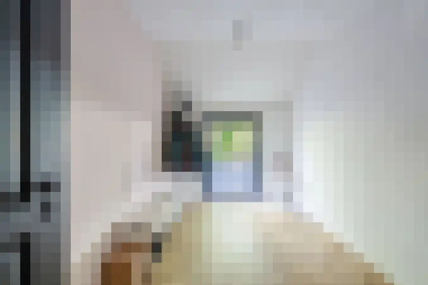 Zeijerstroeten 22 Ubbena thumbnail 36