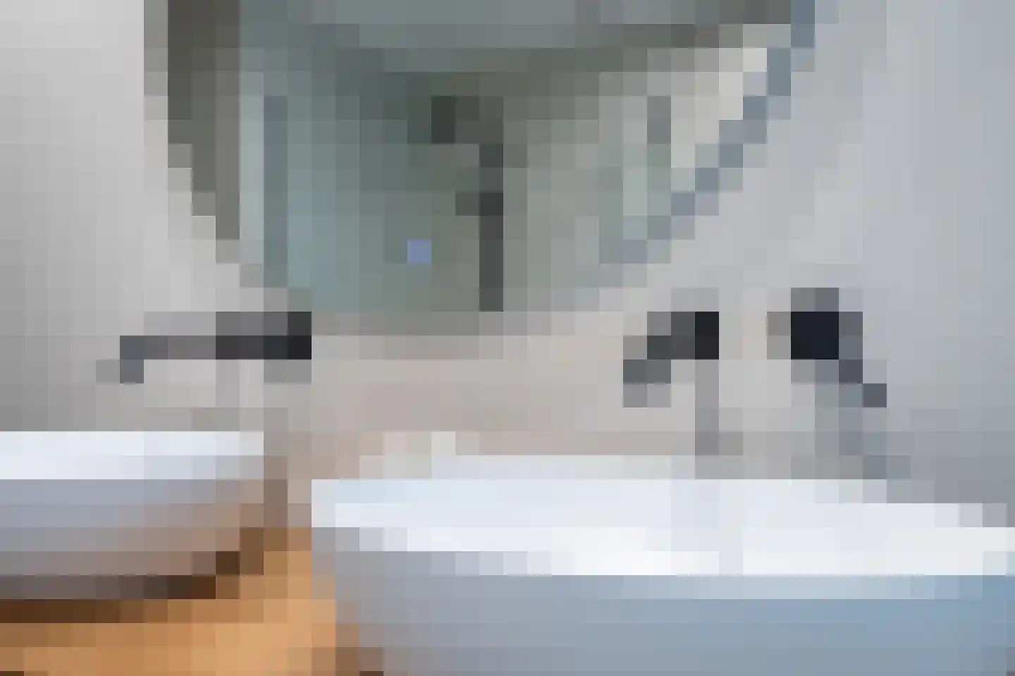 Zeijerstroeten 22 Ubbena thumbnail 38