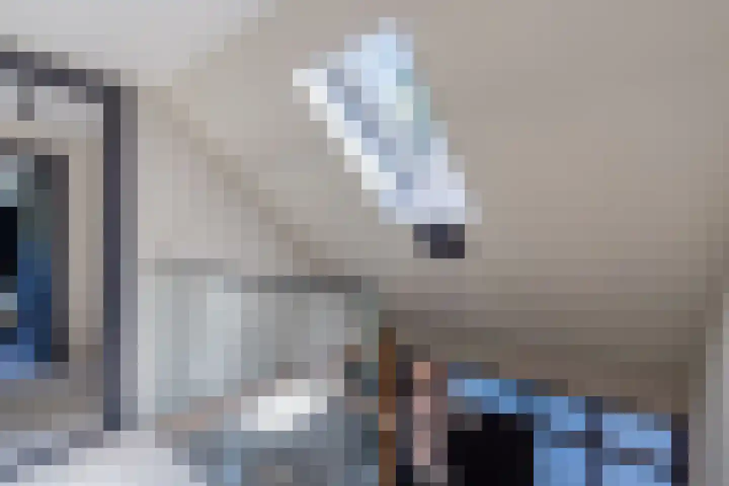Zeijerstroeten 22 Ubbena thumbnail 40