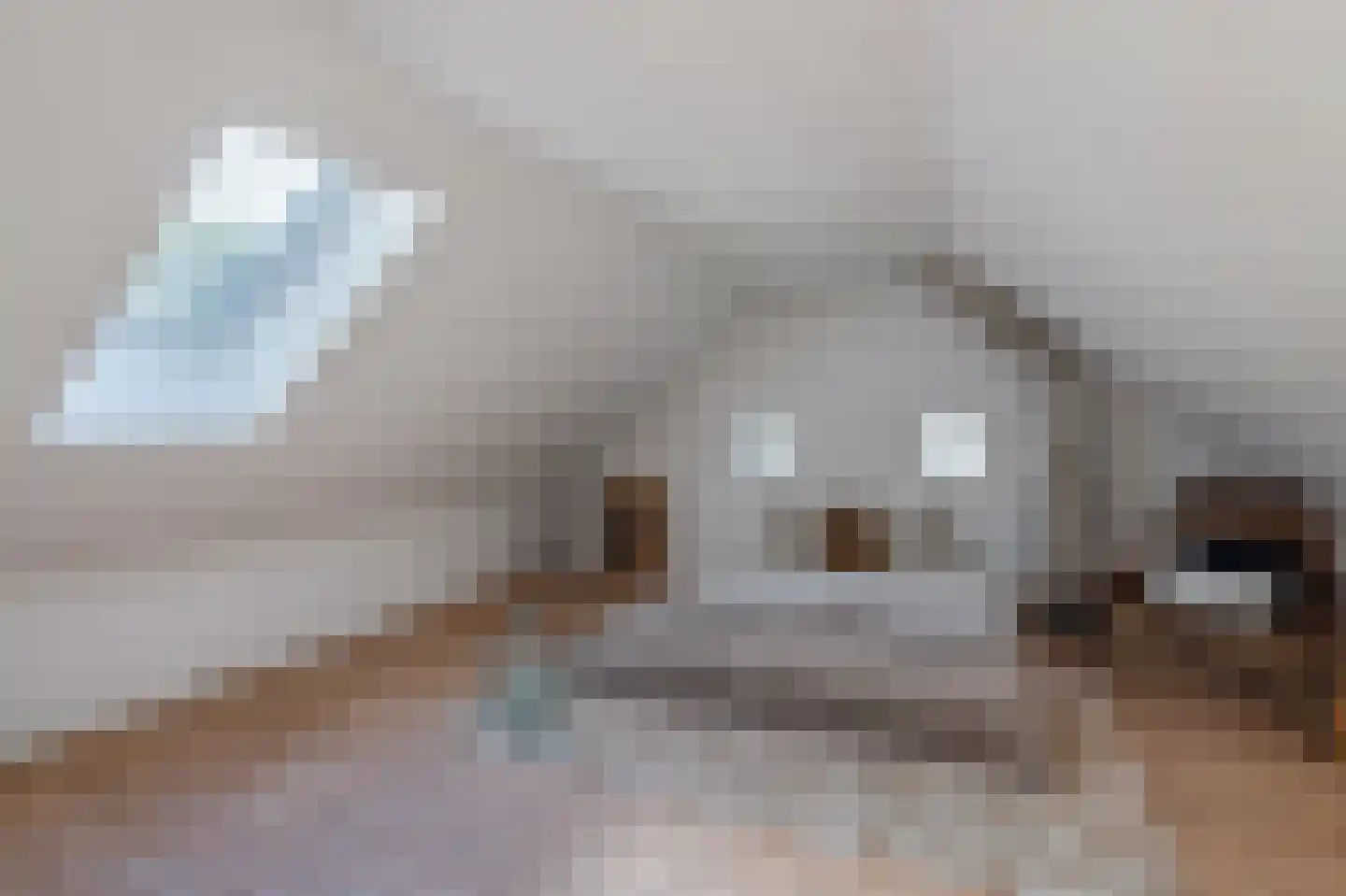 Zeijerstroeten 22 Ubbena thumbnail 41