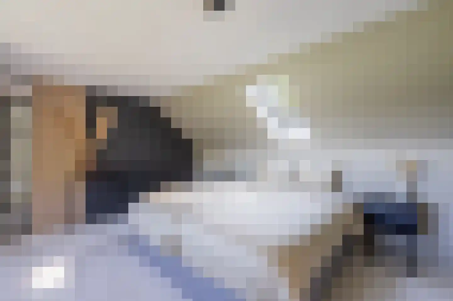 Zeijerstroeten 22 Ubbena thumbnail 42