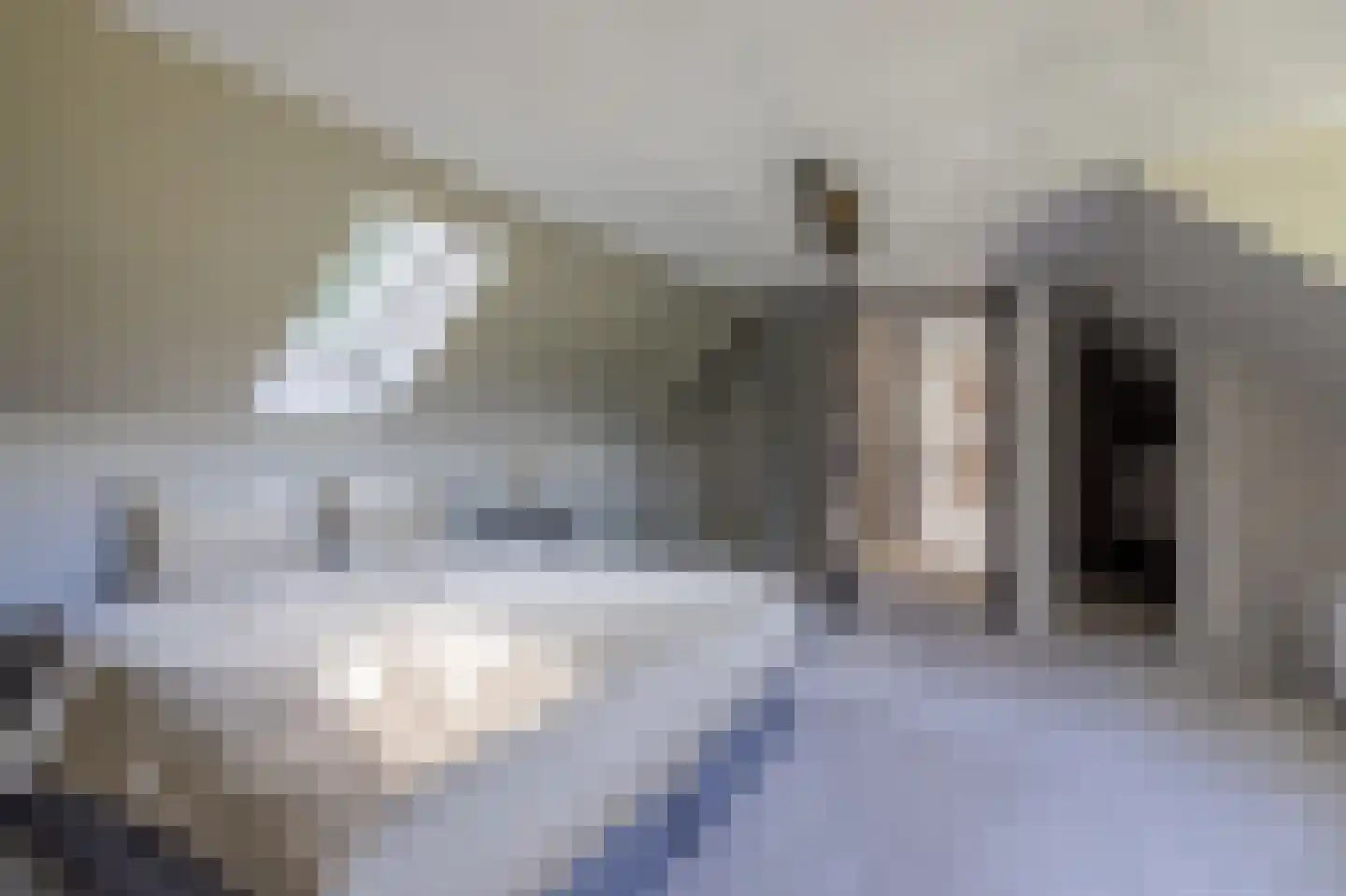 Zeijerstroeten 22 Ubbena thumbnail 43