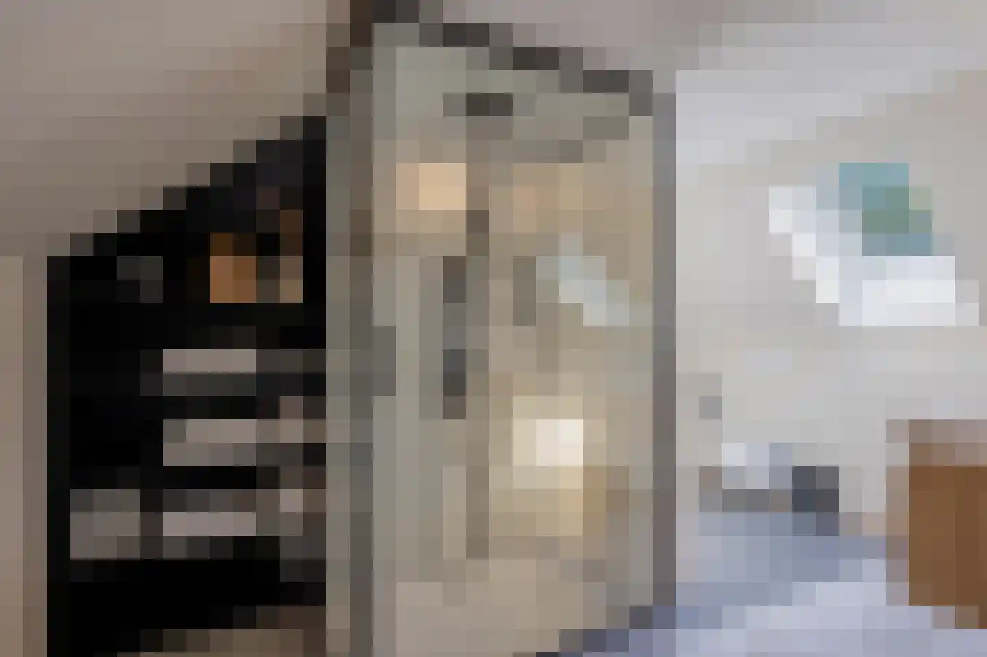 Zeijerstroeten 22 Ubbena thumbnail 45