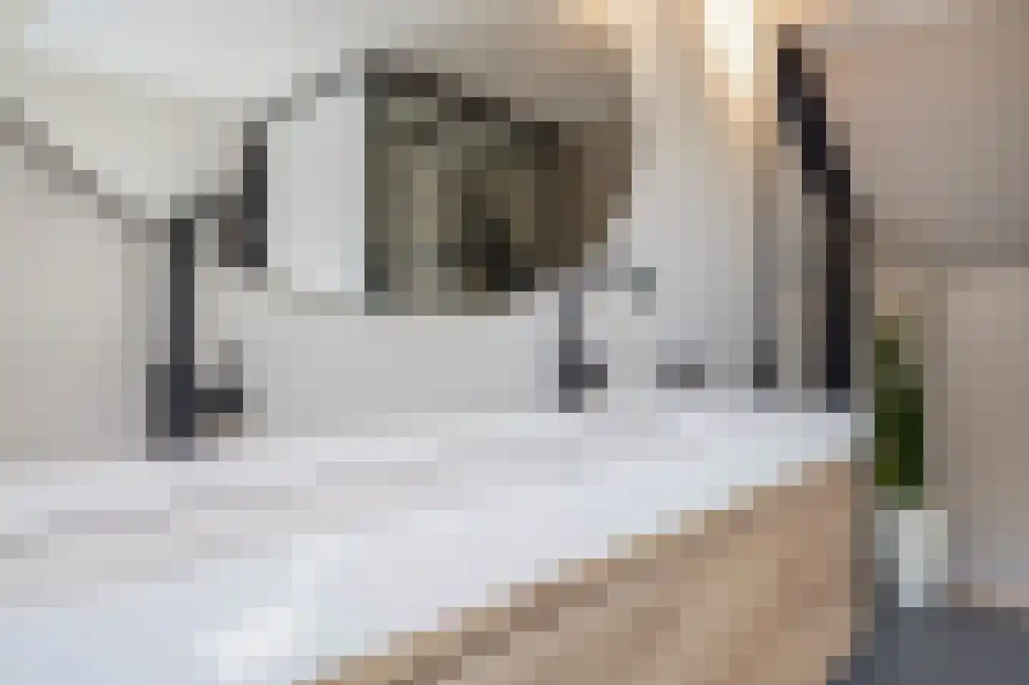Zeijerstroeten 22 Ubbena thumbnail 47