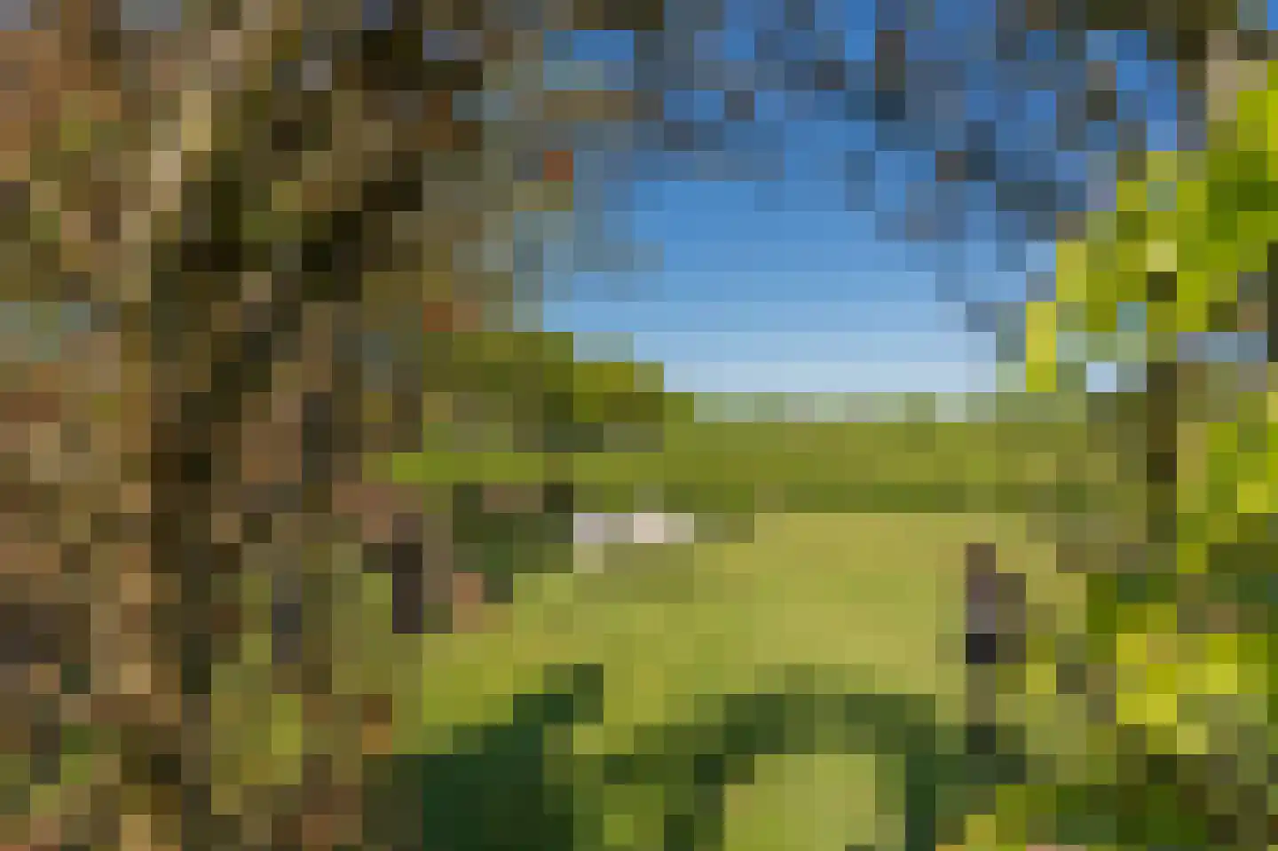 Zeijerstroeten 22 Ubbena thumbnail 52