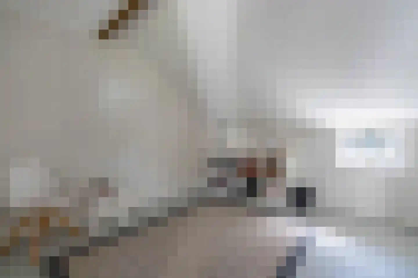 Zeijerstroeten 22 Ubbena thumbnail 60