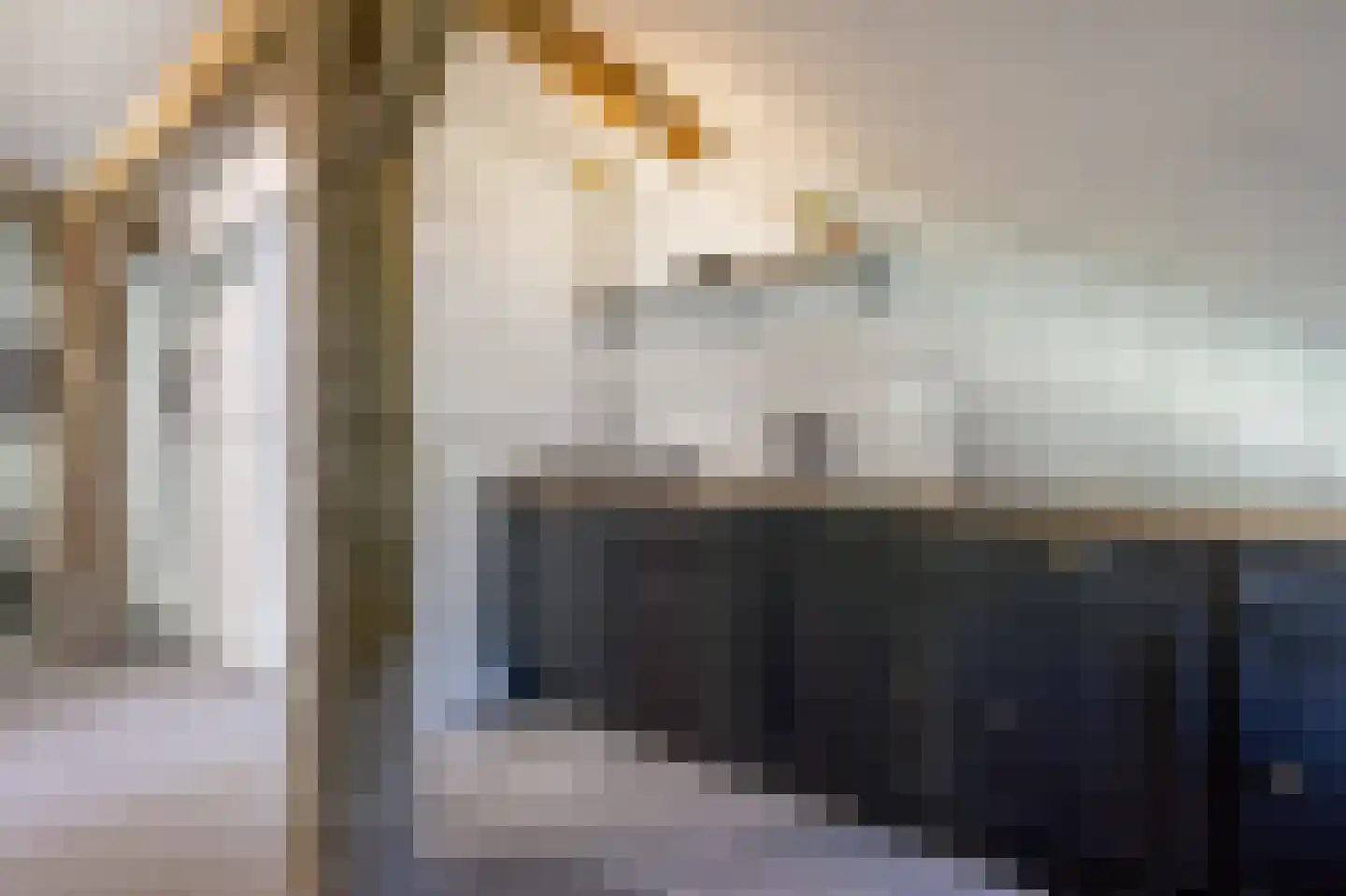 Zeijerstroeten 22 Ubbena thumbnail 62