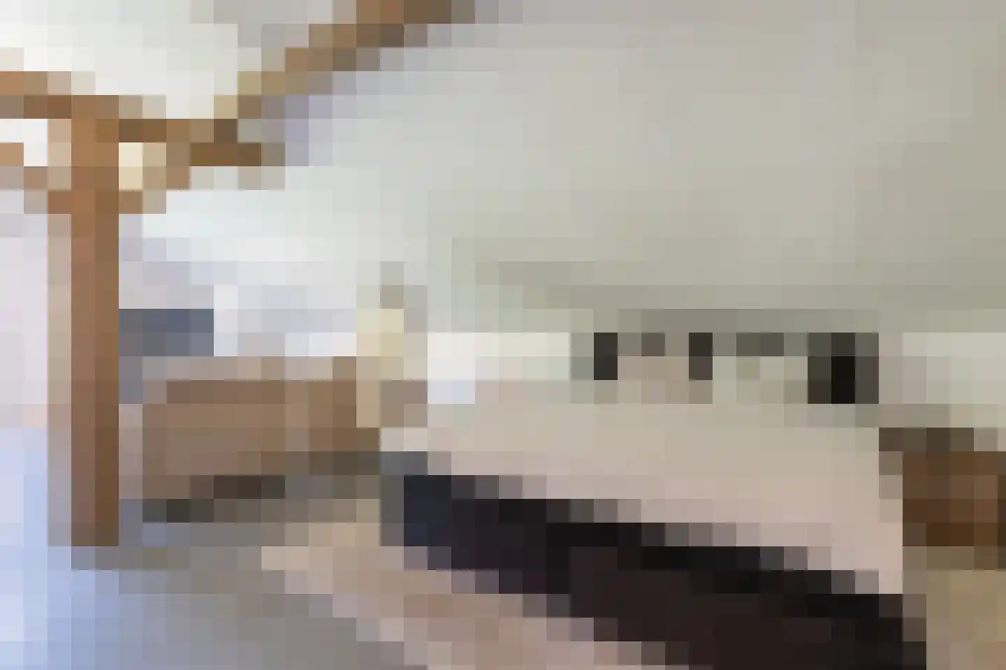 Zeijerstroeten 22 Ubbena thumbnail 63