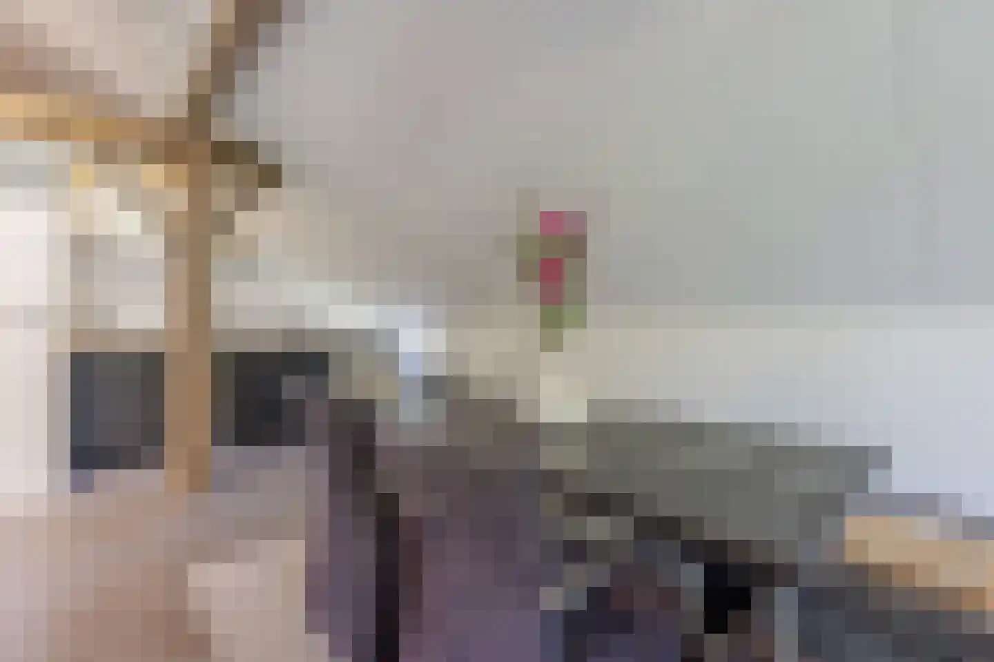 Zeijerstroeten 22 Ubbena thumbnail 64