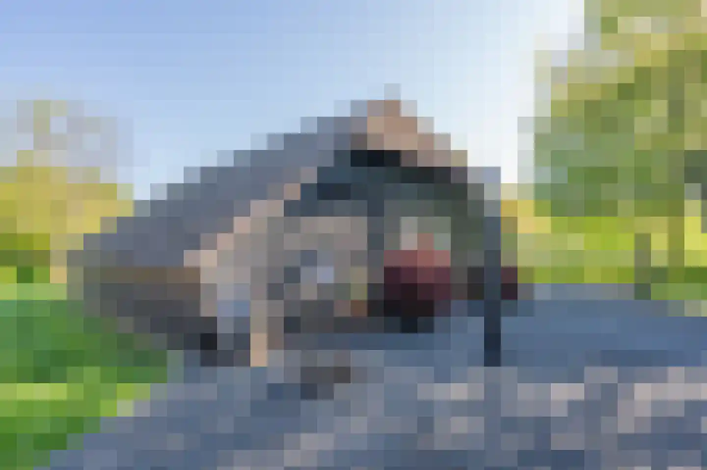 Zeijerstroeten 22 Ubbena thumbnail 68
