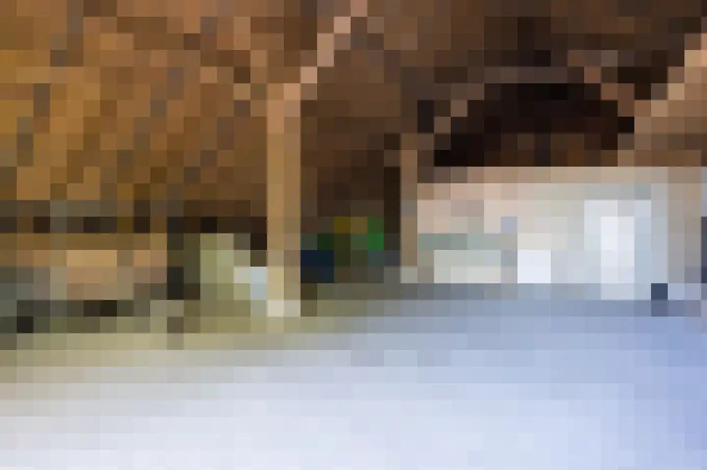 Zeijerstroeten 22 Ubbena thumbnail 70