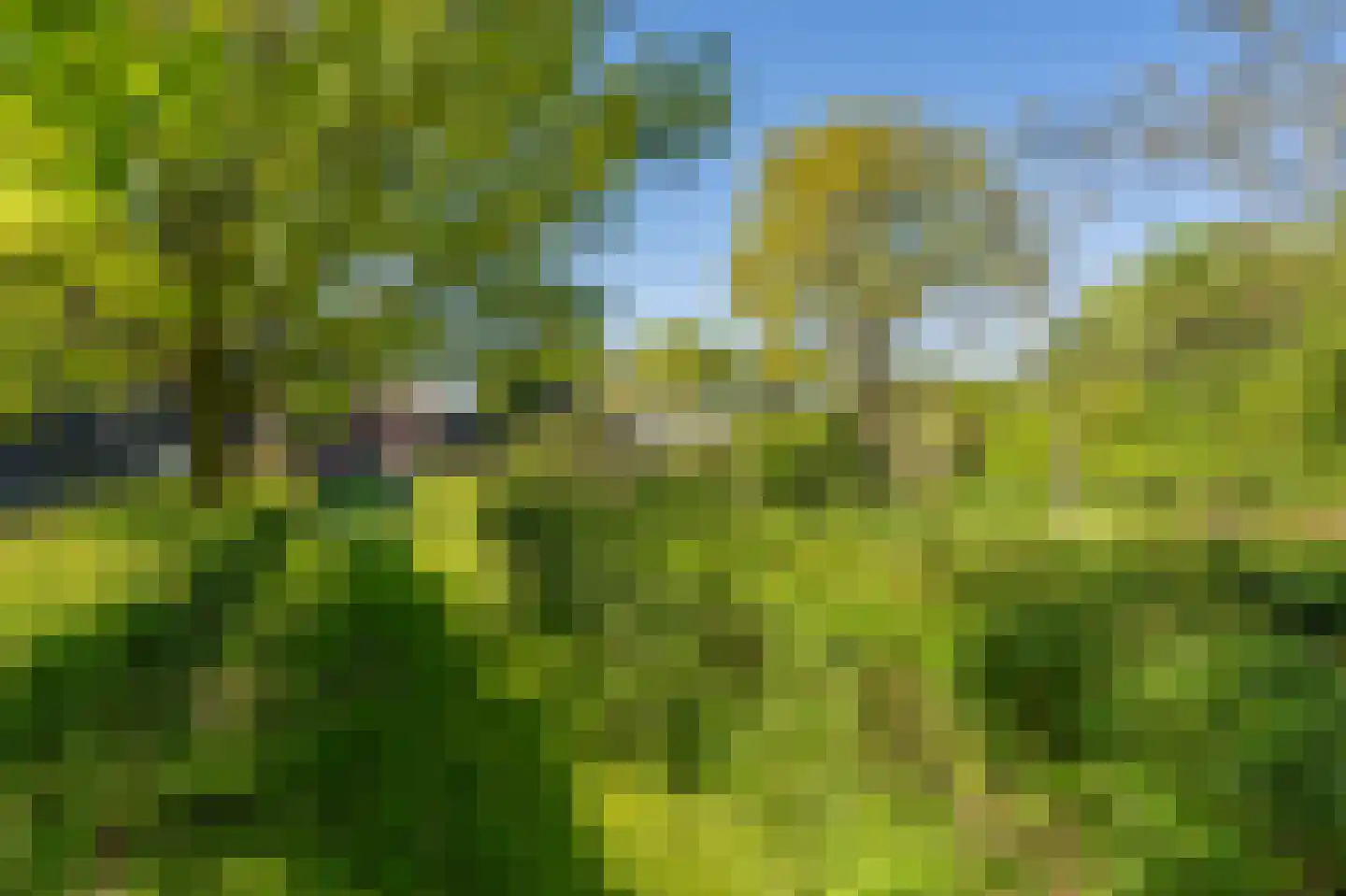 Zeijerstroeten 22 Ubbena thumbnail 75