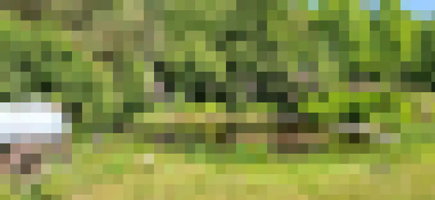 Zeijerstroeten 22 Ubbena thumbnail 76