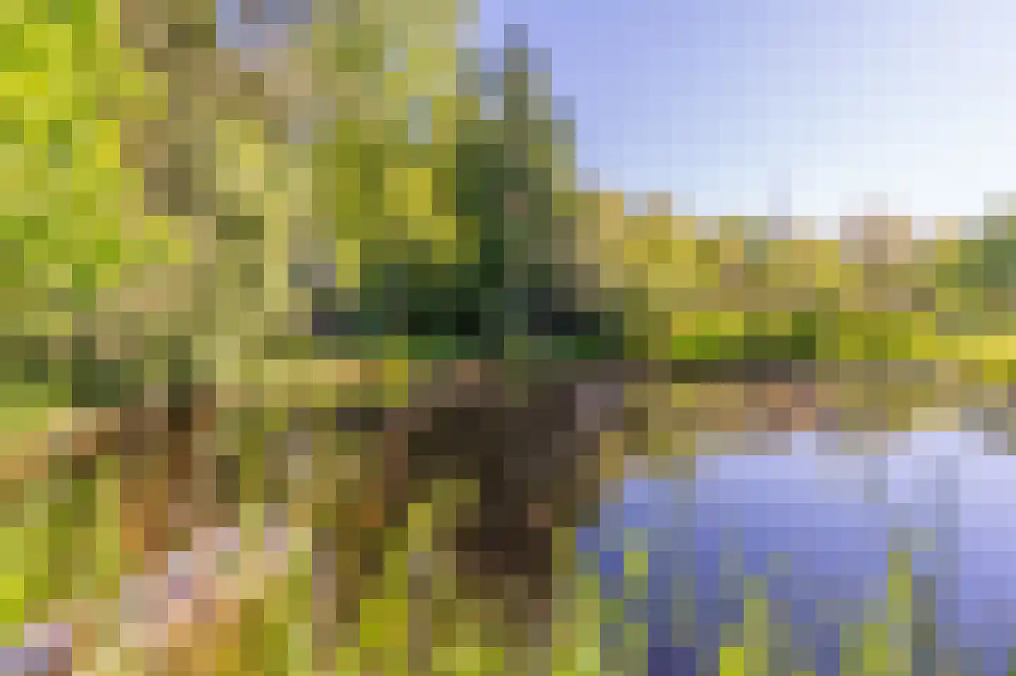 Zeijerstroeten 22 Ubbena thumbnail 78