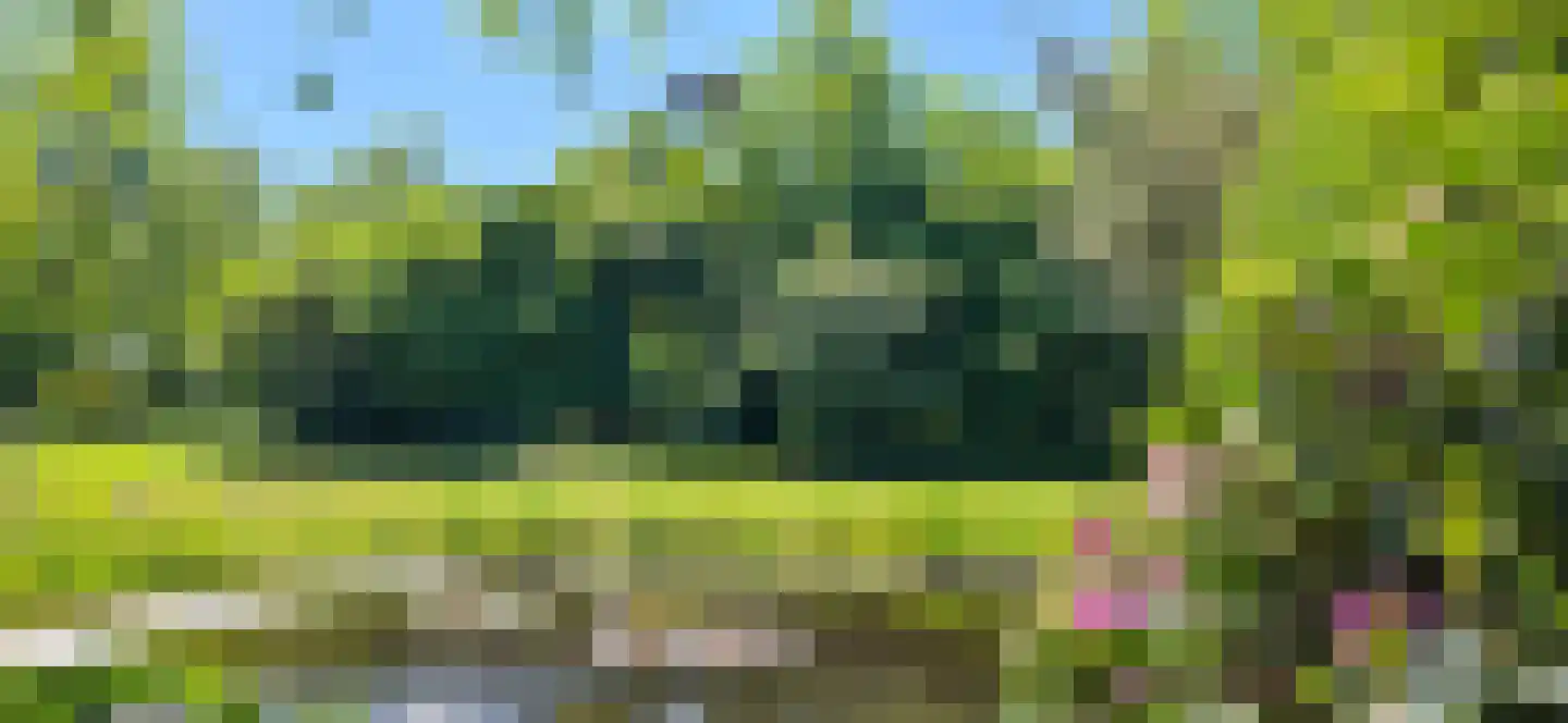 Zeijerstroeten 22 Ubbena thumbnail 80