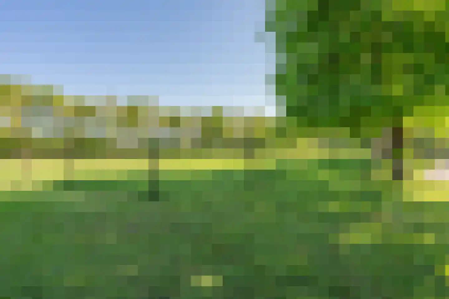 Zeijerstroeten 22 Ubbena thumbnail 81