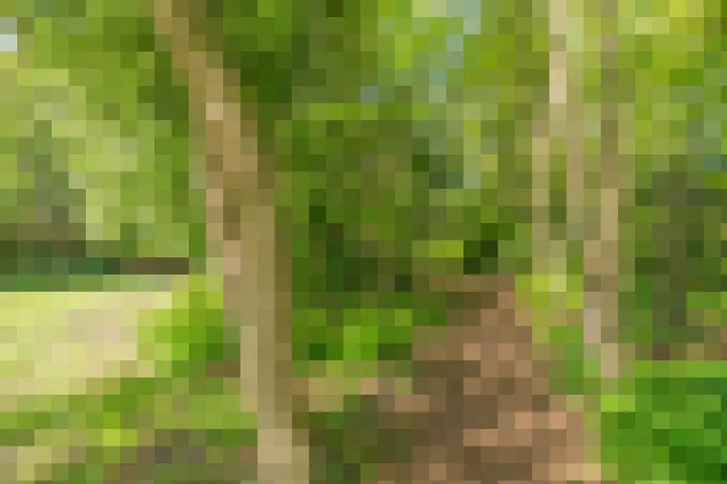 Zeijerstroeten 22 Ubbena thumbnail 83