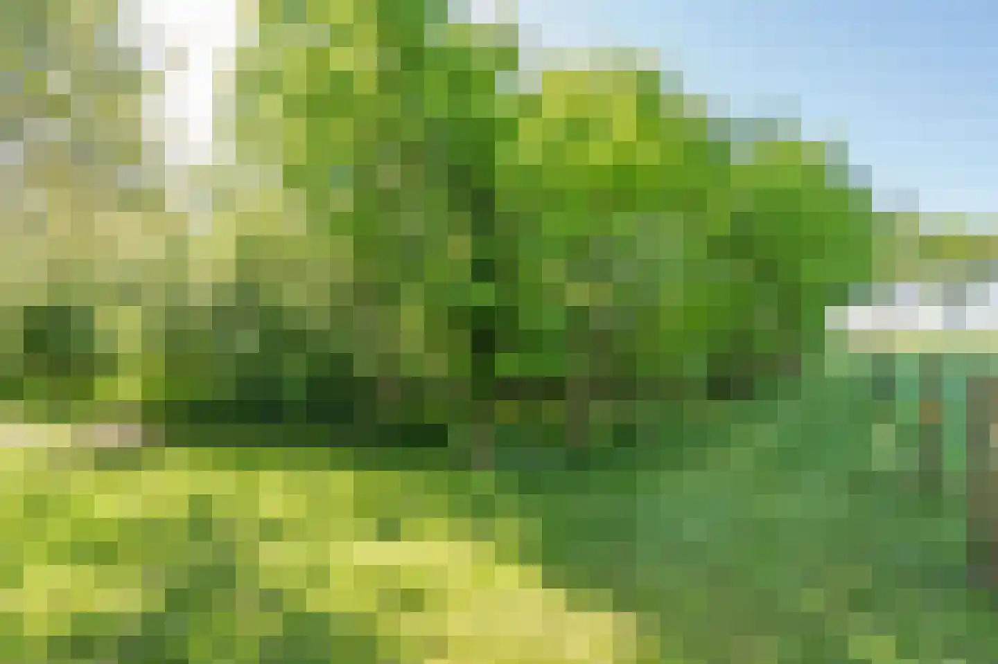 Zeijerstroeten 22 Ubbena thumbnail 84