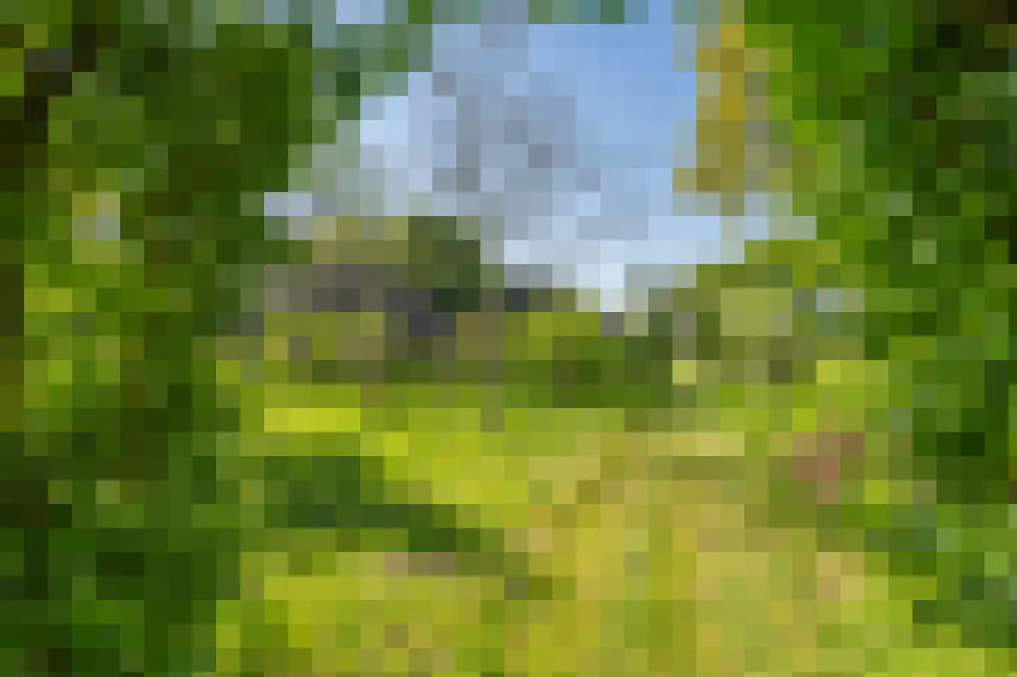 Zeijerstroeten 22 Ubbena thumbnail 85