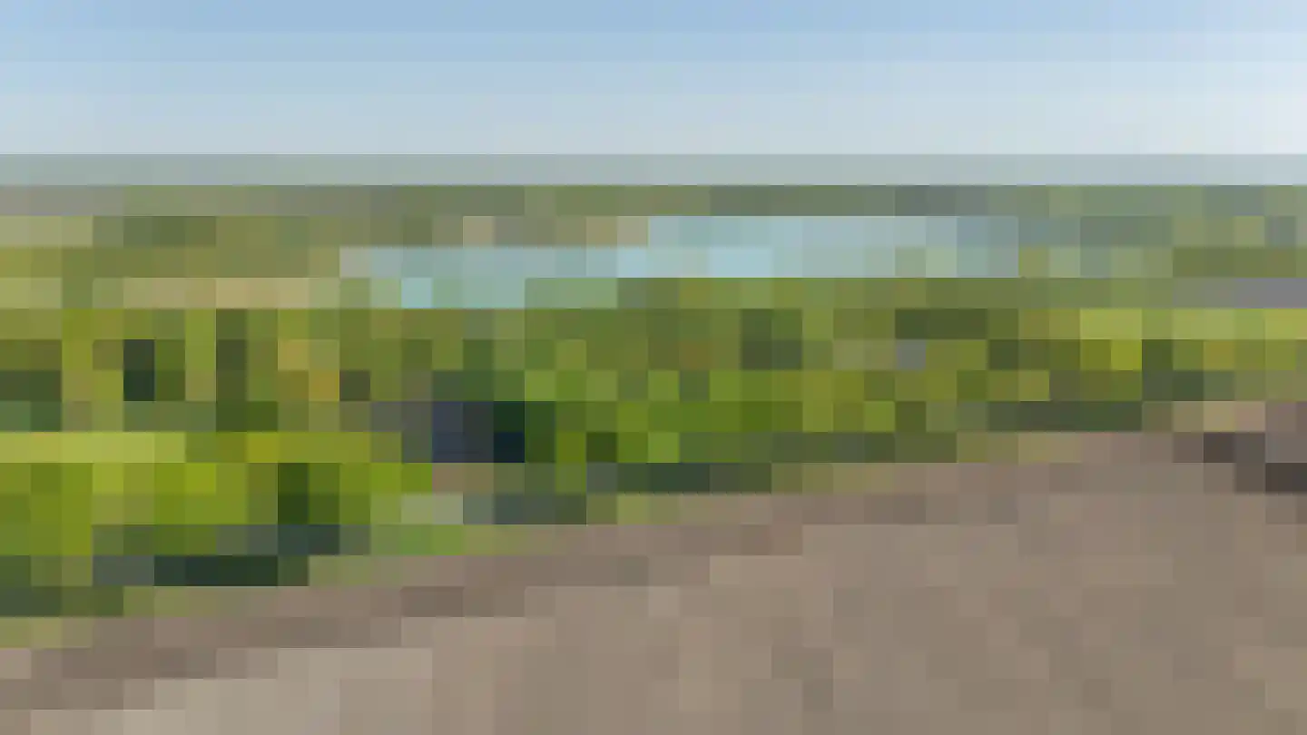 Zeijerstroeten 22 Ubbena thumbnail 87
