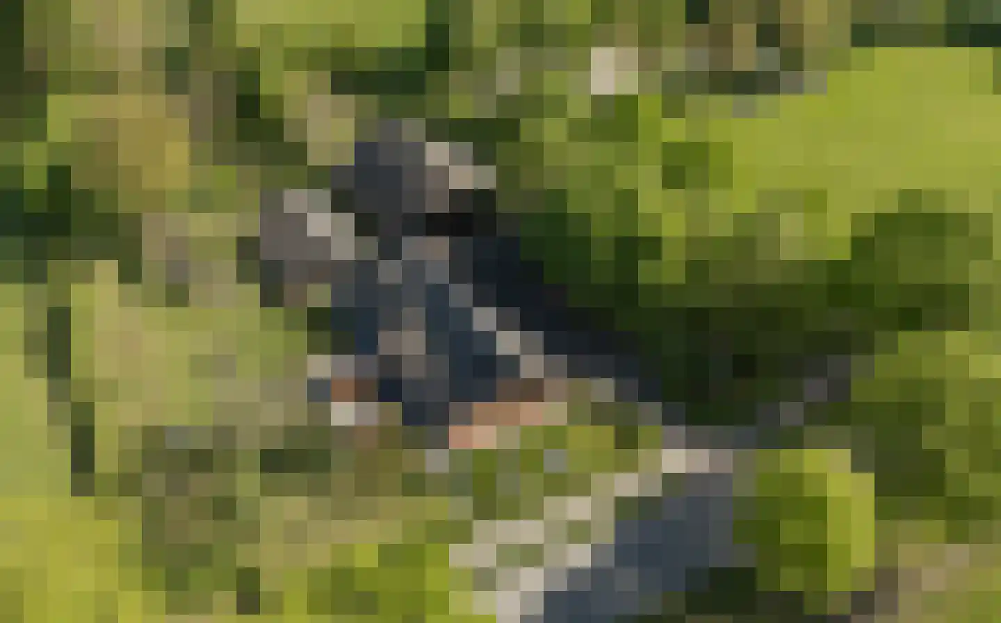 Zeijerstroeten 22 Ubbena thumbnail 89