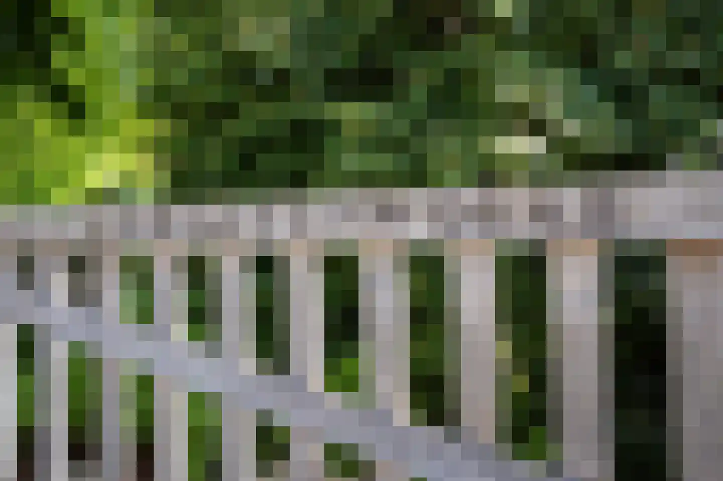 Zeijerstroeten 22 Ubbena thumbnail 9