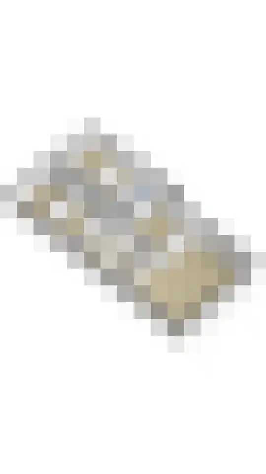 Zeijerstroeten 22 Ubbena thumbnail 92