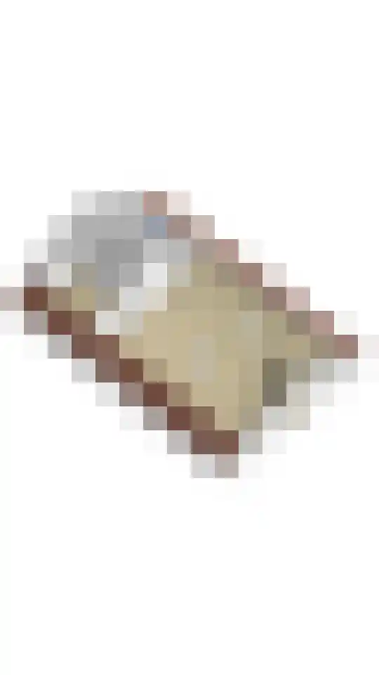 Zeijerstroeten 22 Ubbena thumbnail 96