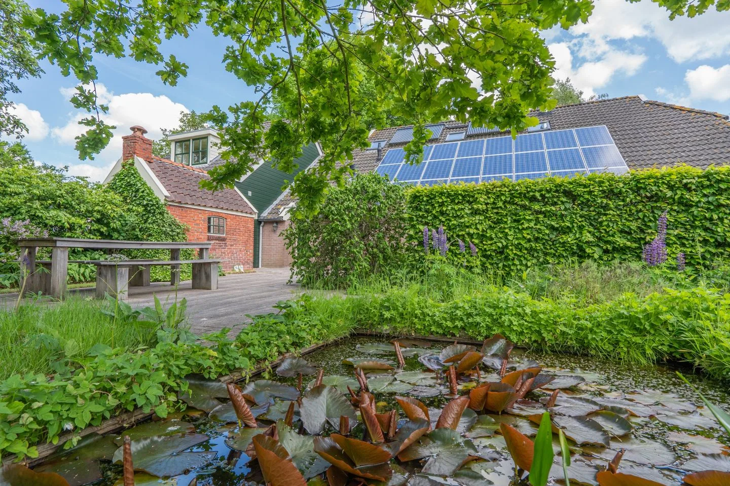 Zeijerstroeten 25 Ubbena thumbnail 51