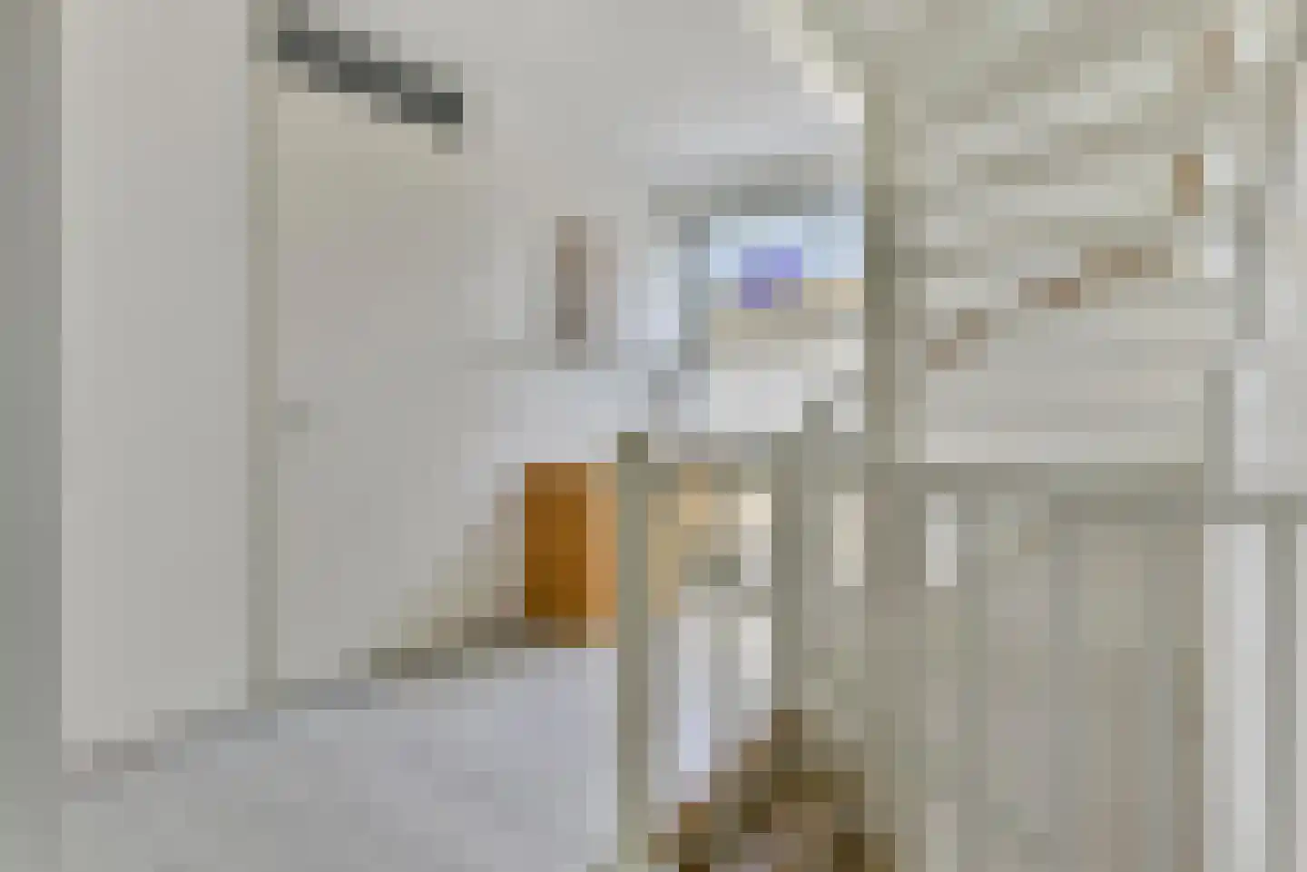 Zeijerveen 13 Amersfoort thumbnail 21