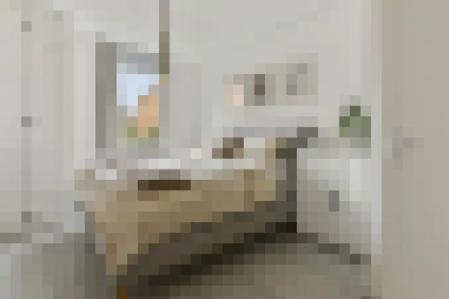Zeijerveen 13 Amersfoort thumbnail 32