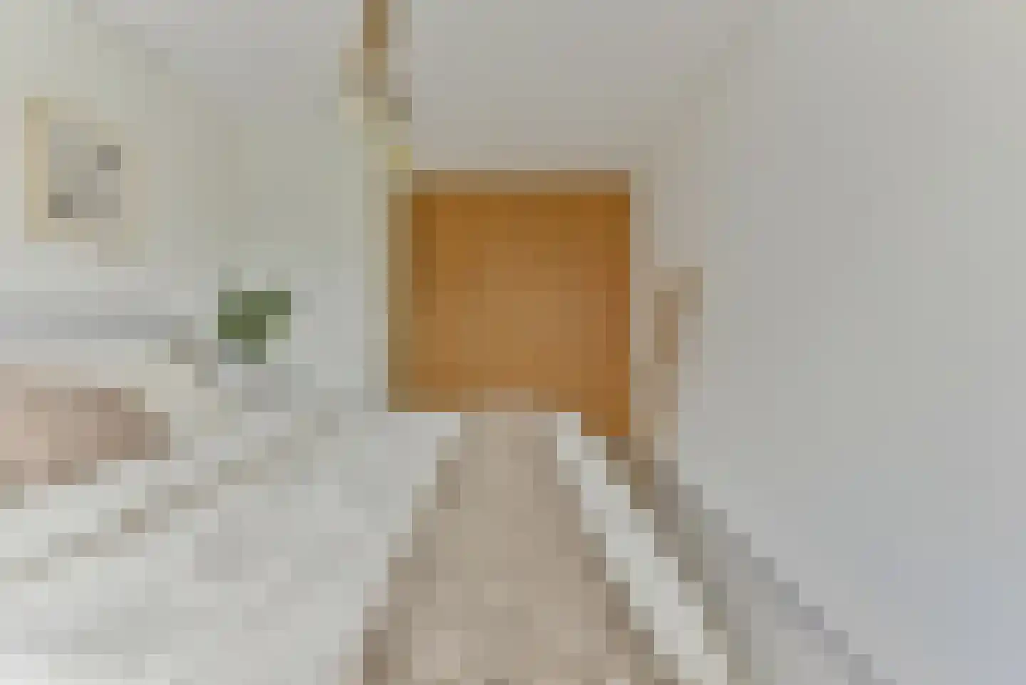 Zeijerveen 13 Amersfoort thumbnail 33