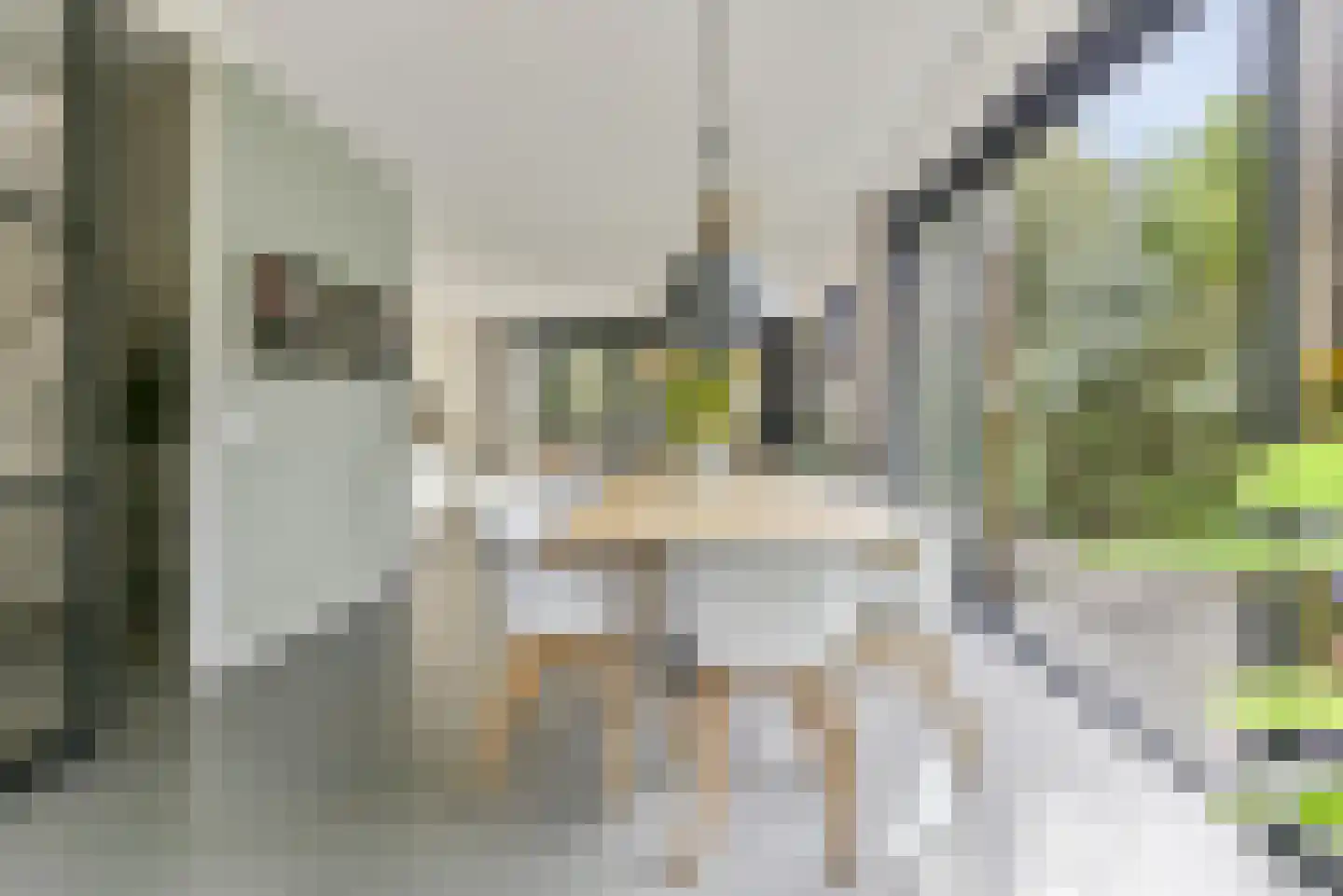 Zeijerveen 13 Amersfoort thumbnail 5